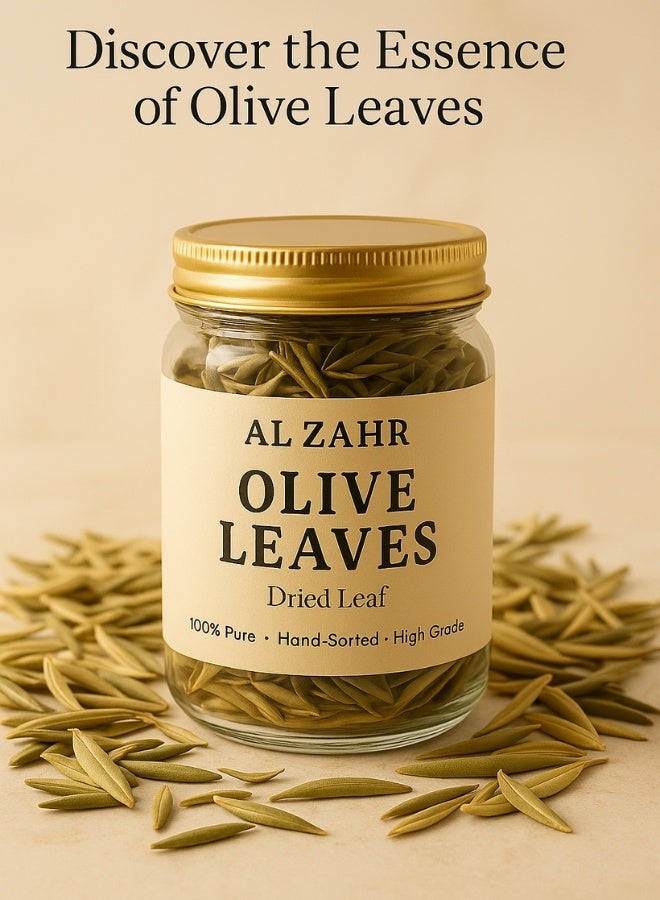 زهر أوراق زيتون الزاهر - أوراق نقية 100%، مصنفة يدويًا، مجففة عالية الجودة - طبيعية، للعلاج بالروائح، شاي الأعشاب والاستخدام الحرفي - Image 2