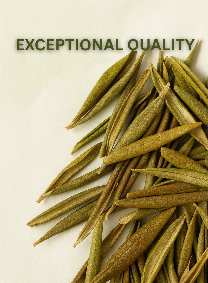 Zahr AL ZAHR Olive Leaves – 100% Pure, Hand-Sorted, High-Grade Dried Leaf – Natural, Aromatherapy, Herbal Tea & Craft Use - Image 3