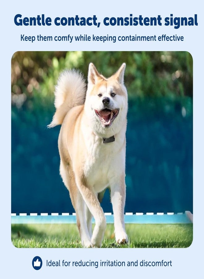 بيت سيف لاصقات Petsafe Flex للأطواق، 4 قطع - Image 3