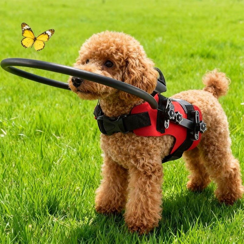 Visually Impaired Pet Barrier Collar Adjustable Mobility Aid Crush Padded Dog Barrier - Image 4