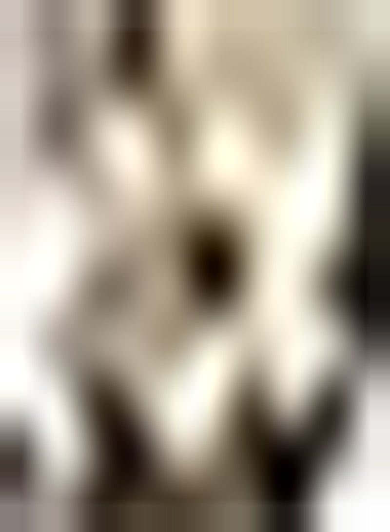 جي جوت 2 قطعة أمارلس Zwiebeln die atemberaubend duftende Heimdecoration mit nackten Wurzeln pflanzen Charmante Amaryllis Einfach zu pflanzen for Gartenanfänger - Image 2