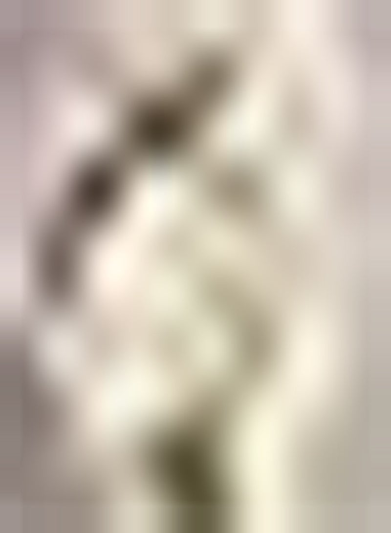 جي جوت 2 قطعة أمارلس Zwiebeln die atemberaubend duftende Heimdecoration mit nackten Wurzeln pflanzen Charmante Amaryllis Einfach zu pflanzen for Gartenanfänger - Image 1