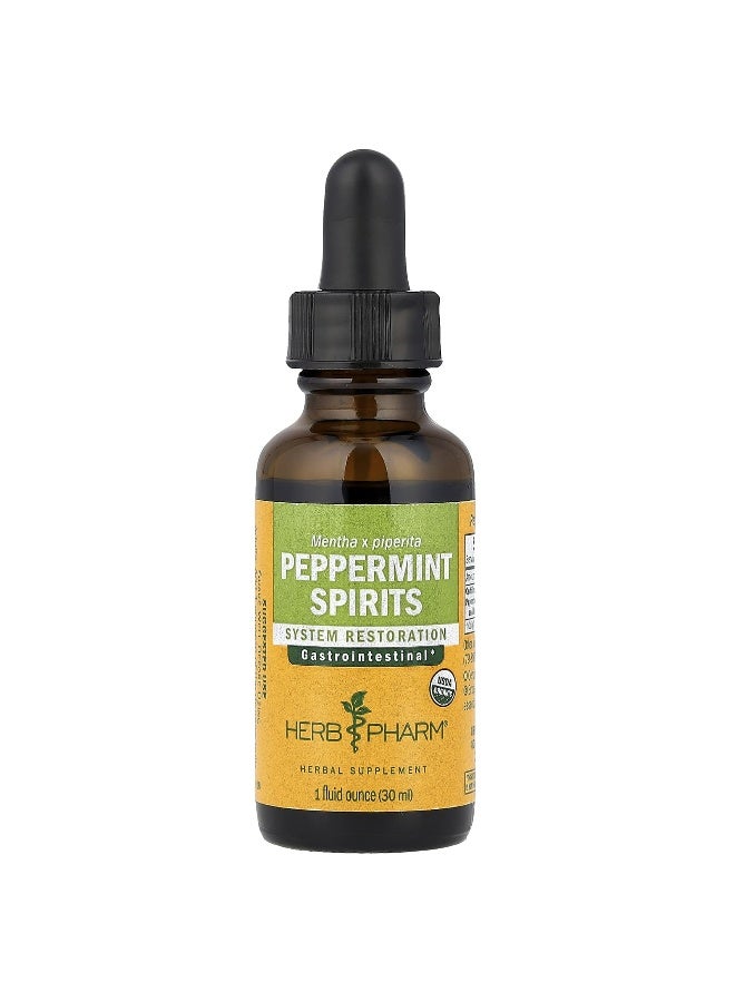 Herb Pharm, Peppermint Spirits, 584 mg, 1 fl oz (30 ml) (Packaging may vary) - Image 1
