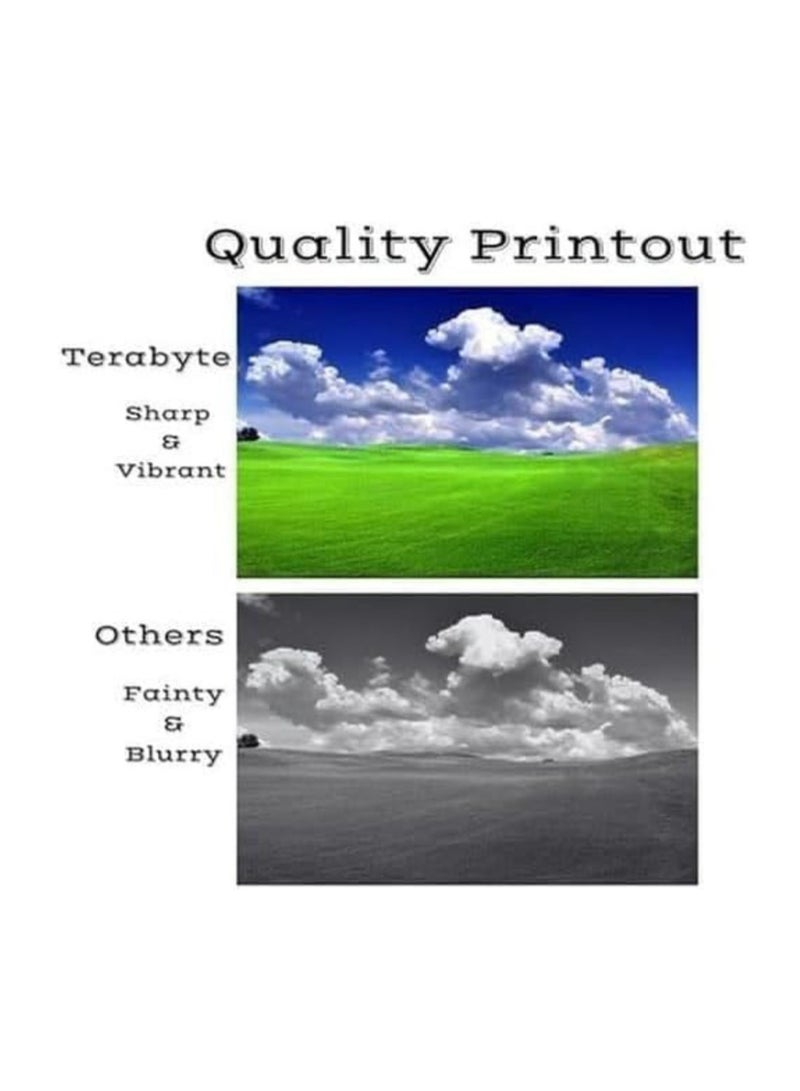 Terabyte 304A Compatible Toner Cartridge Replacement for 304A CC530A CC531A CC532A CC533A (1 Black, 1 Cyan, 1 Magenta, 1 Yellow, 4 Pack) - Image 2