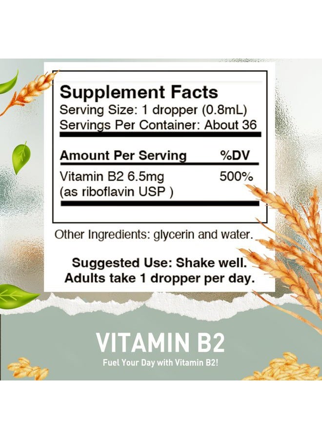 HoneyCombs Amish Trusted Vitamin B2 Drops, B Vitamin Liquid to Support Digestion, Blood Cells & Nervous System, Liquid Vitamins for Hair, Skin and Nails, Alcohol-Free, Non-GMO Riboflavin Extract, 1 Fl Oz. - Image 2