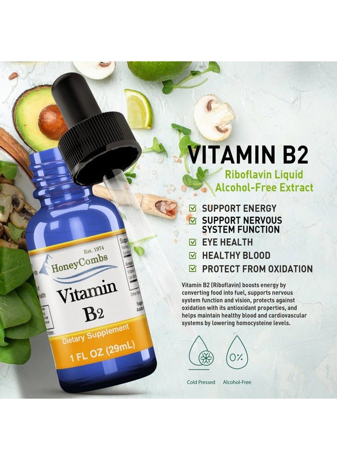 HoneyCombs Amish Trusted Vitamin B2 Drops, B Vitamin Liquid to Support Digestion, Blood Cells & Nervous System, Liquid Vitamins for Hair, Skin and Nails, Alcohol-Free, Non-GMO Riboflavin Extract, 1 Fl Oz. - Image 3