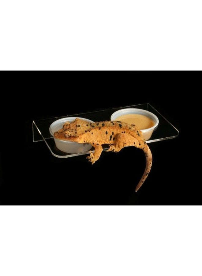 Pangea Pangea Magnetic Gecko Ledge (Acrylic) Large for Reptile Terrarium Habitat  - Image 2