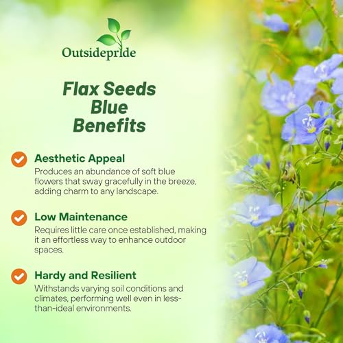 Outsidepride Blue Flax Seeds - 5000 Pcs Perennial Flower Seeds for Planting, Self-Seeding, Drought-Tolerant w/Compact Growth, Ideal for Small Gardens, Meadows, Borders, or Mass Plantings - Image 3