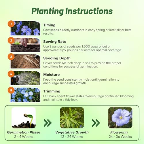 Outsidepride Blue Flax Seeds - 5000 Pcs Perennial Flower Seeds for Planting, Self-Seeding, Drought-Tolerant w/Compact Growth, Ideal for Small Gardens, Meadows, Borders, or Mass Plantings - Image 4