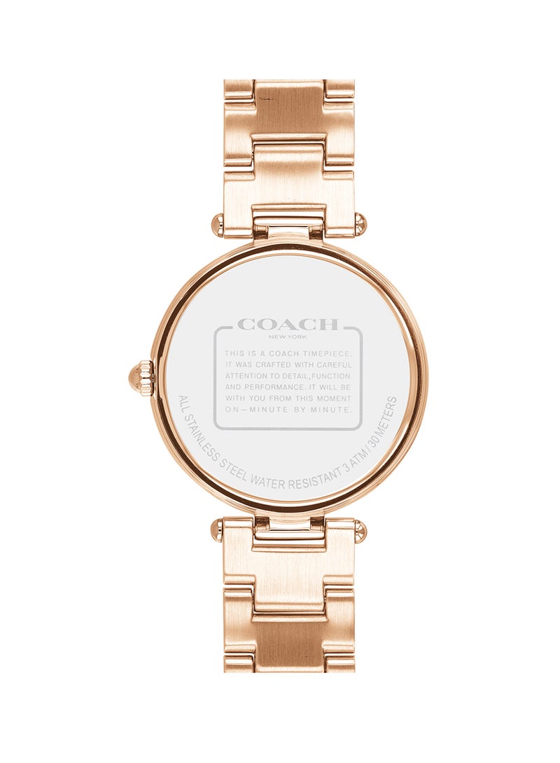 Park Analog Watch