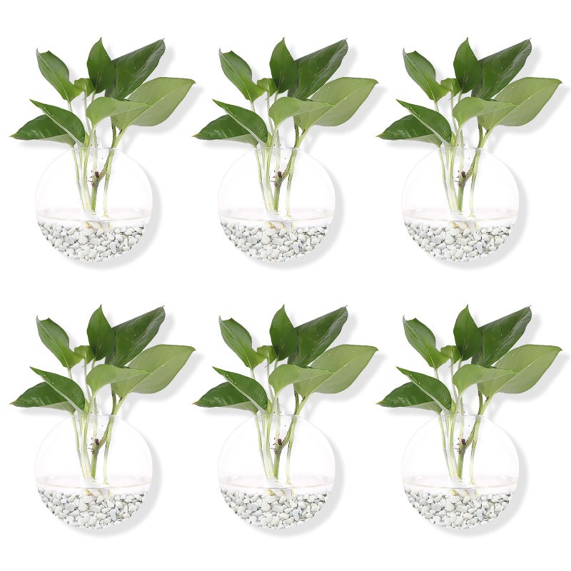DZHJKIO Pack of 6 Glass Planters Wall Hanging Planters Round Glass Plant Pots Hanging Air Plant Pots Flower Vase Air Plant Terrariums Wall Hanging Plant Container 