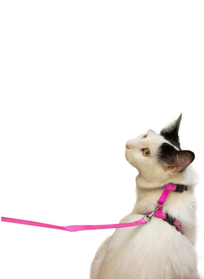 Adjustable Nylon Harness Pink Black - Image 3