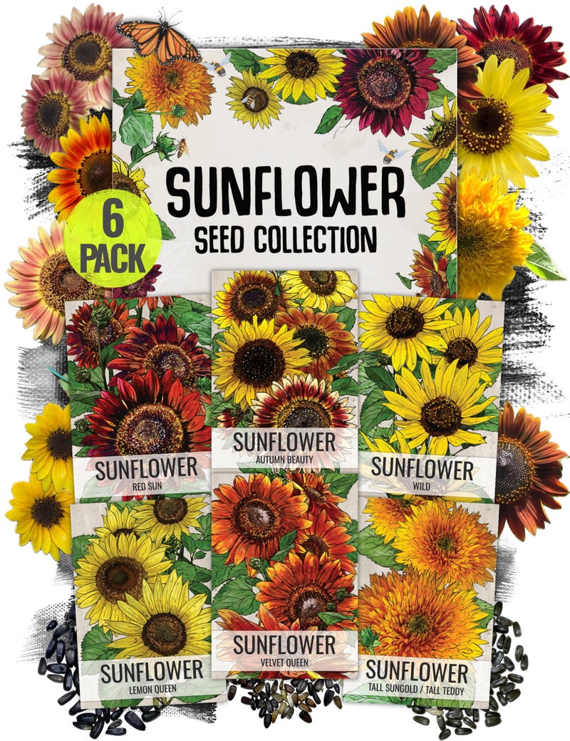 Seed Needs Sunflower Seeds for Planting an Outdoor Flower Garden - Heirloom & Open Pollinated Variety Pack Collection - Plant a Butterfly Garden to Attract Pollinators (6 Packs) - Image 1