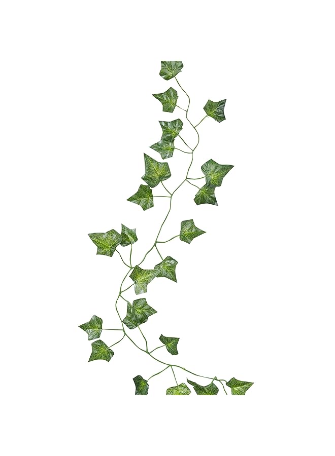 Ginger Ray Beautiful Botanics Decorative Vines - Image 1