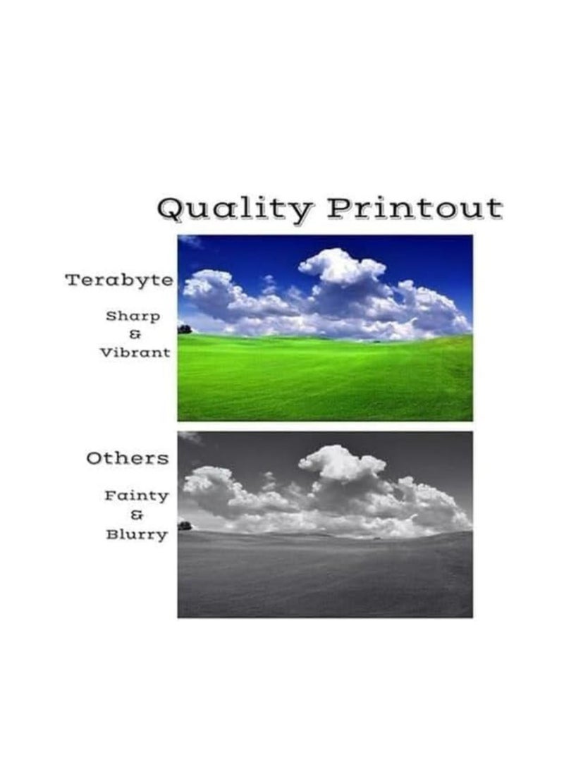 Terabyte 418 Compatible Toner Cartridge Cyan for Use in Color ImageCLASS LBP7200Cdn LBP7210Cdn LBP7660Cdn LBP7680Cx MF8350Cdn MF8380Cdw MF8580Cdw MF729Cx (Cyan) - Image 2