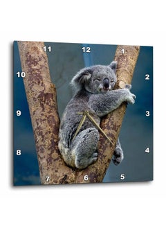 3DROSE 3D Rose Australia Koala Bear Wall Clock 10" X 10"  - Image 3