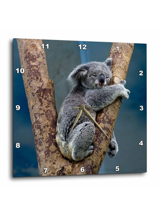3DROSE 3D Rose Australia Koala Bear Wall Clock 10" X 10" - Image 3