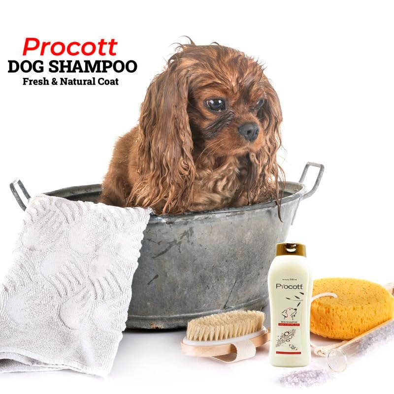 INTAS ALP INTAS PROCOTT Shampoo & Conditioner 500ML Regular Bathing Shampoo for Dogs & Cats Pack of -2 (New Packing of procott 500ml) - Image 2