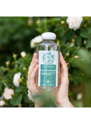 Bulgarian White Rose Water (Rosa Alba) - 100% Pure Usda Certified Organic Face Toner - 17 Fluid Ounces - pzsku/ZA336FEC73253634D69CBZ/45/_/1734183129/53061565-34b2-4bda-abf7-023fcfff7962