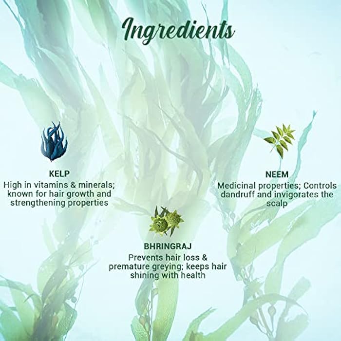 Biotique Ocean Kelp Anti Hairfall Shampoo | Intensive Hair Growth Therapy| Anti Hairfall Shampoo that Maintains Shine |100% Botanical Extracts | Suitable for All Hair Types |340ml - Image 5