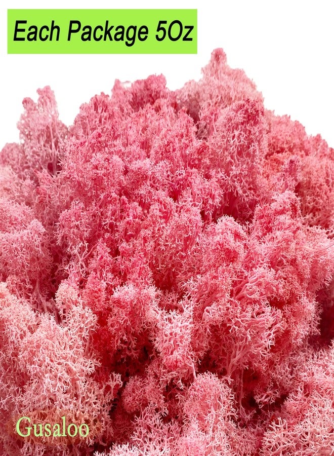 Gusaloo Preserved Moss 5oz Artificial Natural Fresh Green Moss for Craft Handicraft Arts Floral Project Wall Decor Table Decor Wedding Centerpieces Garden Terrariums Decoration-Pink - Image 5