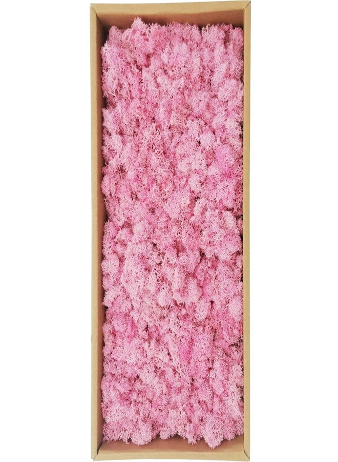 Gusaloo Preserved Moss 5oz Artificial Natural Fresh Green Moss for Craft Handicraft Arts Floral Project Wall Decor Table Decor Wedding Centerpieces Garden Terrariums Decoration-Pink - Image 1