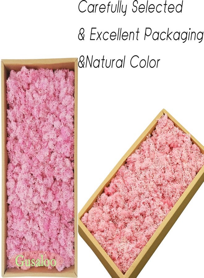 Gusaloo Preserved Moss 5oz Artificial Natural Fresh Green Moss for Craft Handicraft Arts Floral Project Wall Decor Table Decor Wedding Centerpieces Garden Terrariums Decoration-Pink - Image 2