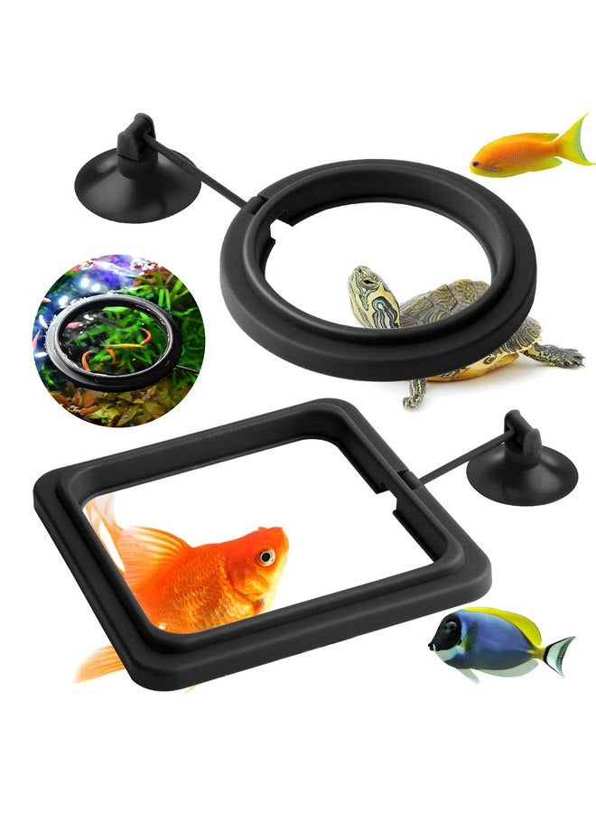 مولين حلقة تغذية الأسماك مولين، قطعتان من ملحقات حوض السمك وحوض السلاحف ودائرة تغذية الطعام لأسماك الجوبي وبيتا والذهبية والسلحفاة (أسود) - Image 1