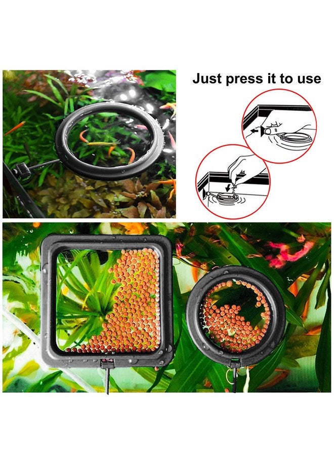 مولين حلقة تغذية الأسماك مولين، قطعتان من ملحقات حوض السمك وحوض السلاحف ودائرة تغذية الطعام لأسماك الجوبي وبيتا والذهبية والسلحفاة (أسود) - Image 4