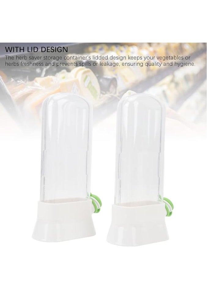 General Mint and vanilla storage organizer, fruit containers, large capacity fresh-keeping cups, transparent fresh-keeping containers, plant preservatives, kitchen preservatives  - Image 5