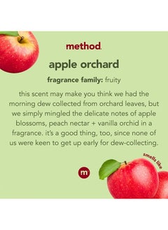 Method Daily Granite Cleaner Spray, Apple Orchard, Plant-Based Cleaning Agent for Granite, Marble, and Other Sealed Stone, 28 oz Spray Bottle (Pack of 1)  - Image 3