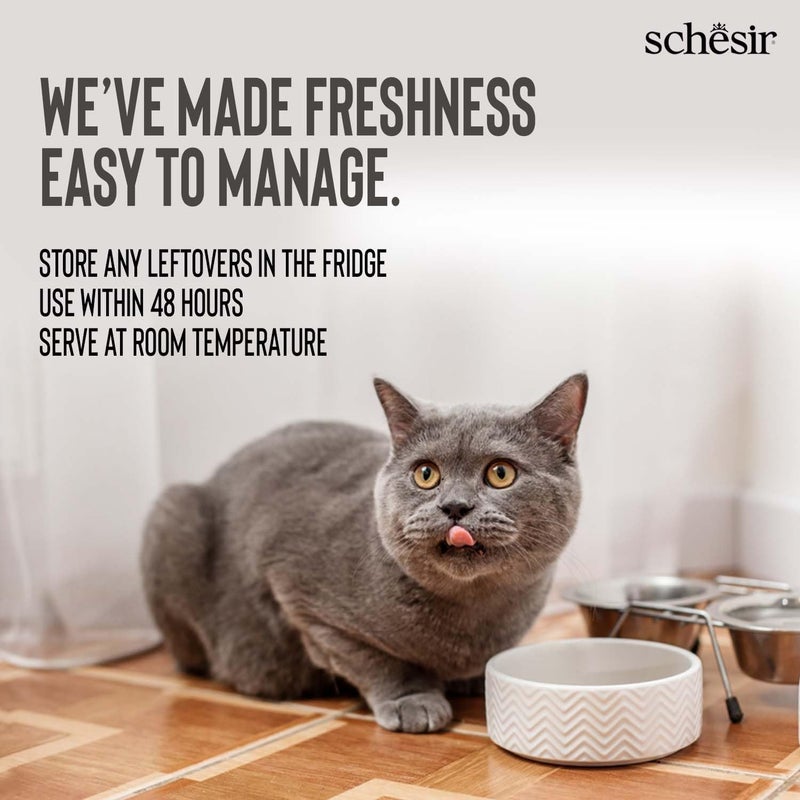 Schesir Pink Salmon & Carrot Cat Soup 85g + Kittos Salmon Rings 35g Nourishing Soup Meal + Tasty Fish Treat High Protein Combo for Adult Cats Natural Ingredients - Image 4