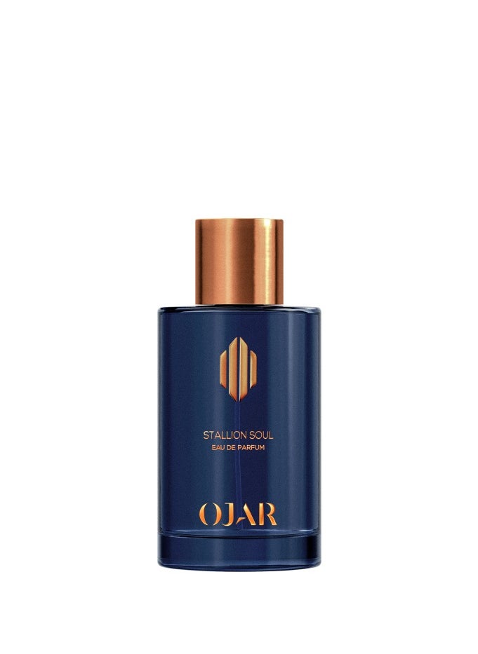 ماء عطر ستاليون سول 100مل من أوجار - pzsku/ZA33A6536387F95604A79Z/45/_/1710262409/7e2b41b4-757f-4a30-8a77-8034fa76e5b2