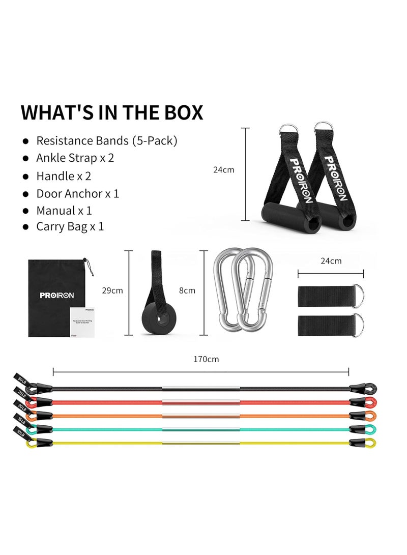 Generic Resistance Bands Set 14 Pieces Anti-Snap Resistance Band Exercise with Handles, Door Anchor, Ankle Straps, Training Manual and Carrying Bag  - Image 2