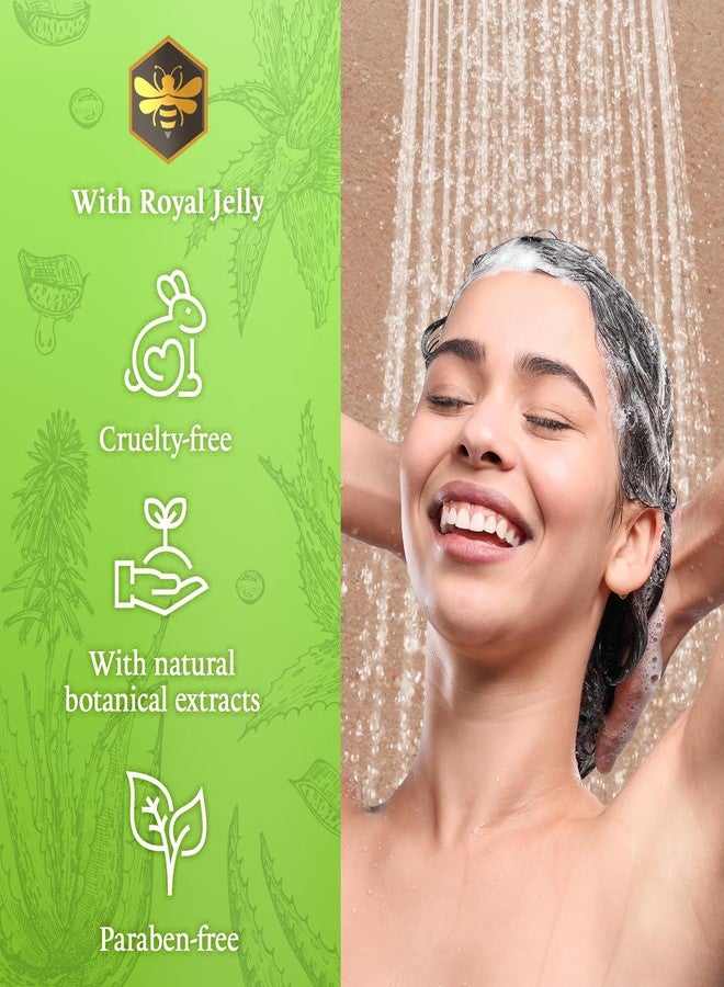 Tio Nacho Aloe Vera Deep Repair Shampoo, Organic Aloe Vera and Royal Jelly for Hair Repair and Protection, with Vegetable Keratin for Strength and Shine, Paraben, Salt, Silicone-Free, 14 Oz (3 Pack) - Image 4