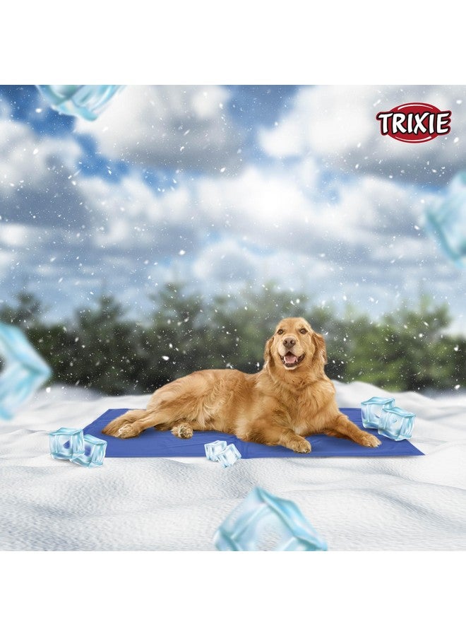 تريكسي بساط تبريد/سرير لتخفيف الحرارة للجراء متوسطة إلى كبيرة الحجم والكلاب البالغة مثل البيشون، والكوكير سبانييل، والجولدن ريتريفر، واللابرادور (100 × 60 سم، (XL)) - Image 5