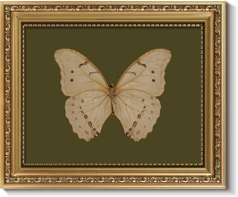 ARPEOTCY Vintage Gold Framed Wall Art, Classical White Butterfly Paintings, 8x10 inch Small Moody Green Canvas Prints with Antique Picture Frame, Victorian Wall Decor for Gallery Living Room Shelf - Image 1