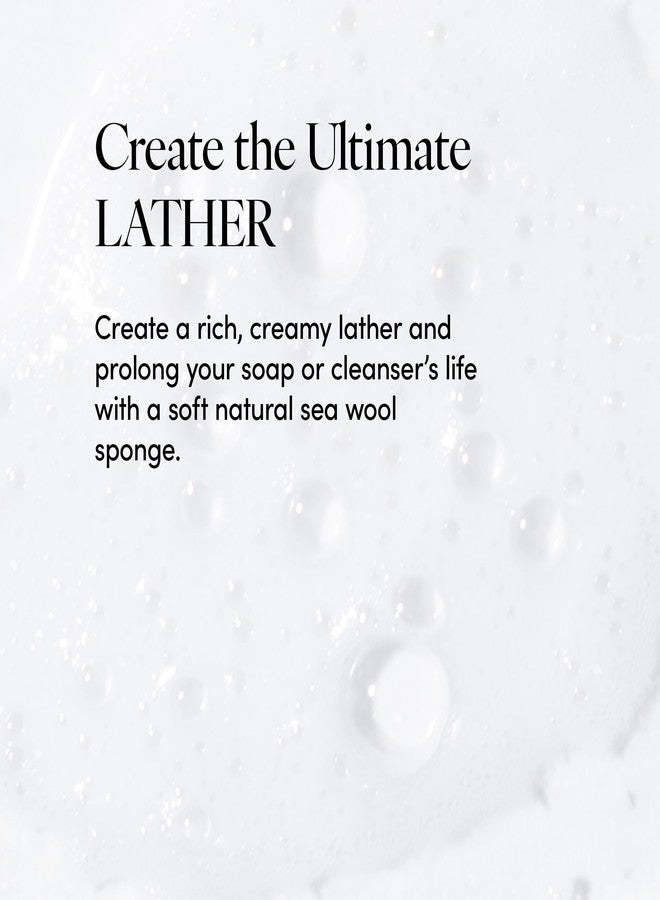 LATHER - Natural Sea Wool Sponge, 5-6" - Organic Exfoliating Body Scrubber - Soft, Gentle Cleansing - Hypoallergenic - All Skin Types - Florida Natural Loofah Sponge - Cruelty Free - Beauty & Skincare - Image 4