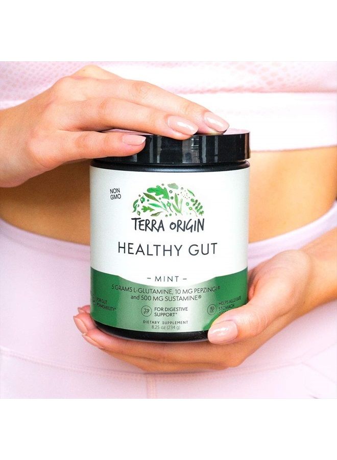 Terra Origin Healthy Gut Mint Flavor |30-Servings with L-Glutamine, Zinc, Glucosamine, Slippery Elm Bark, Marshmallow Root and More! - Image 4