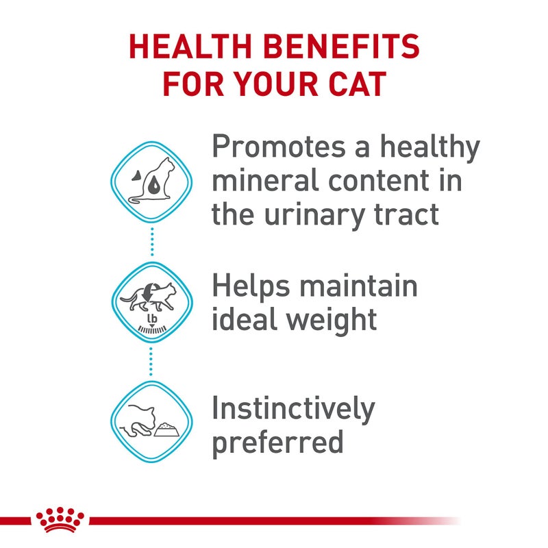 Royal Canin Feline Care Nutrition Urinary Care Adult Thin Slices in Gravy Cat Food, 3 oz (Pack of 12) - Image 3