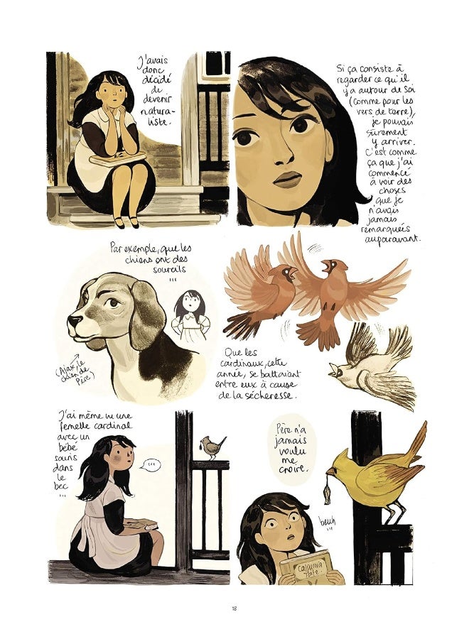 CALPURNIA TOME 2 BD - Image 2