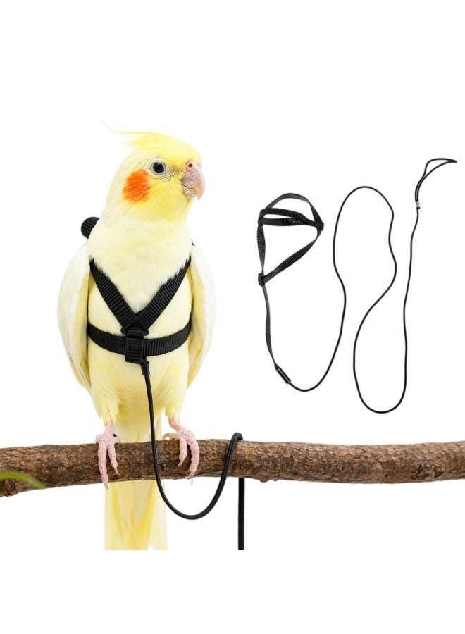 Adjustable Birds Harness and Leash Parrot Harness Leash Training Supplies Pet Anti-bite Outdoor Flying Rope for Conures Budgerigar Lovebird Cockatiel Mynah (S, Black) - Image 1