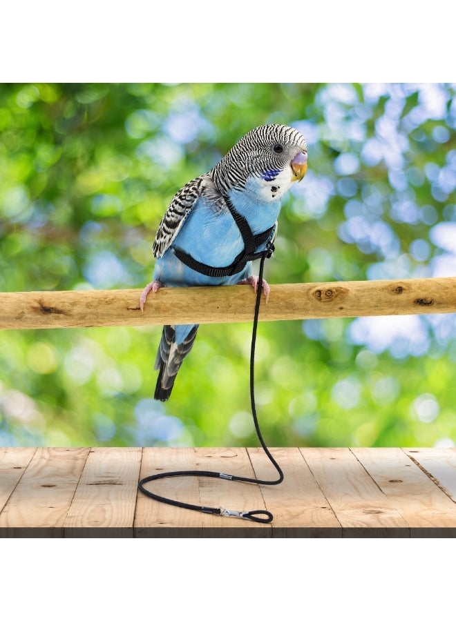 Adjustable Birds Harness and Leash Parrot Harness Leash Training Supplies Pet Anti-bite Outdoor Flying Rope for Conures Budgerigar Lovebird Cockatiel Mynah (S, Black) - Image 2