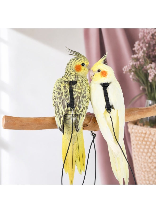Adjustable Birds Harness and Leash Parrot Harness Leash Training Supplies Pet Anti-bite Outdoor Flying Rope for Conures Budgerigar Lovebird Cockatiel Mynah (S, Black) - Image 3