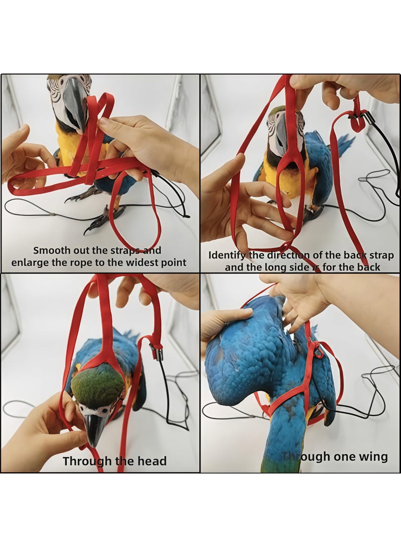 Adjustable Birds Harness and Leash Parrot Harness Leash Training Supplies Pet Anti-bite Outdoor Flying Rope for Conures Budgerigar Lovebird Cockatiel Mynah (S, Black) - Image 5