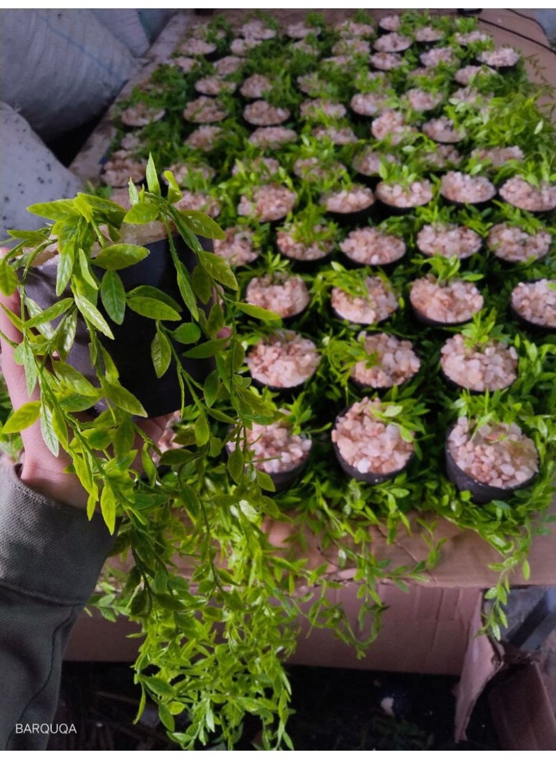 Artificial Plants and Flowers Home Decor Waterfall – Elegant, Calm, Artificial Design - Image 1