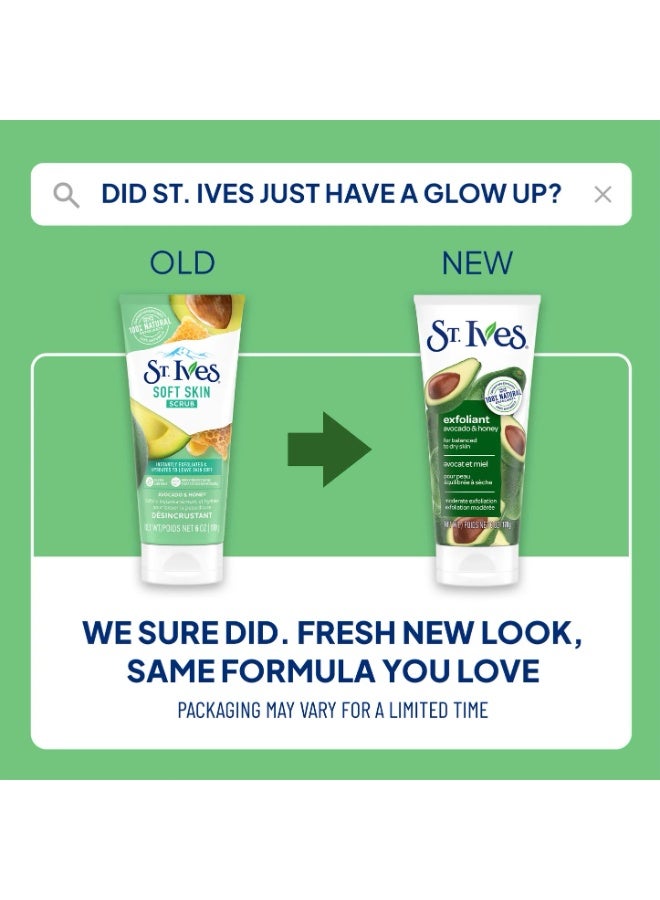 سانت آيفز مقشر الوجه بالأفوكادو والعسل، مقشر للوجه للبشرة المتوازنة والجافة 170 جرام - Image 4