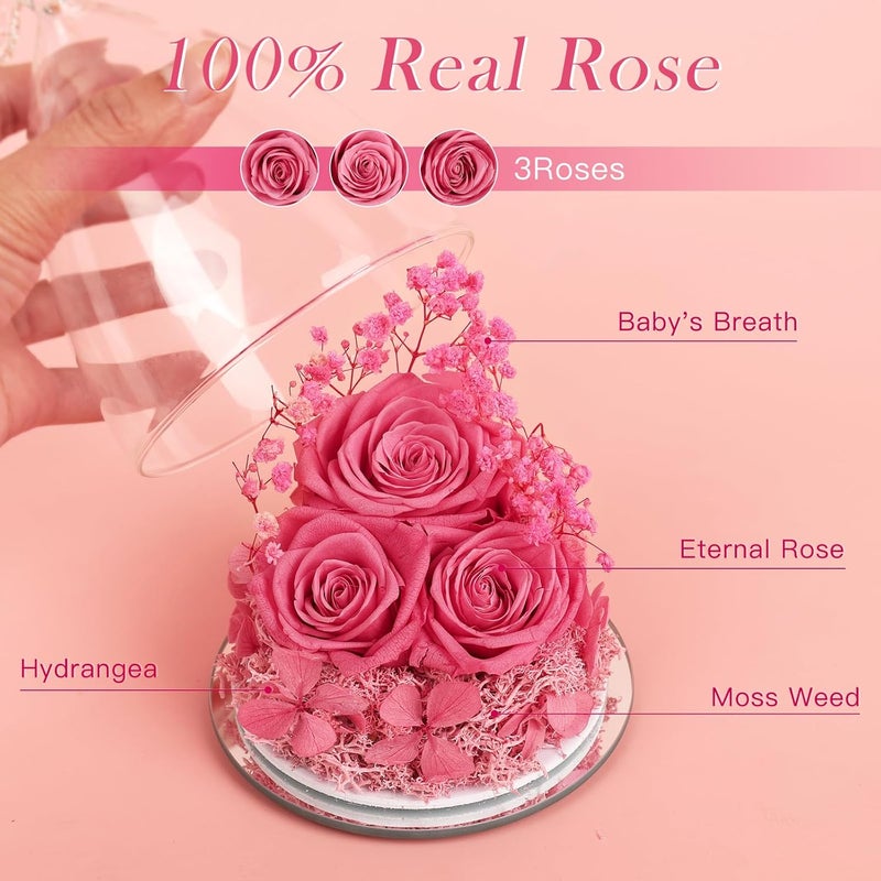 FIACO Preserved Flower Rose Gifts for Women, Forever Eternal Fresh Flowers in Glass Angel Figurines Flowers for Delivery Prime Pink Roses for Grandma Mom Sister Her Wife on Mothers Day Birthday Christmas - Image 2