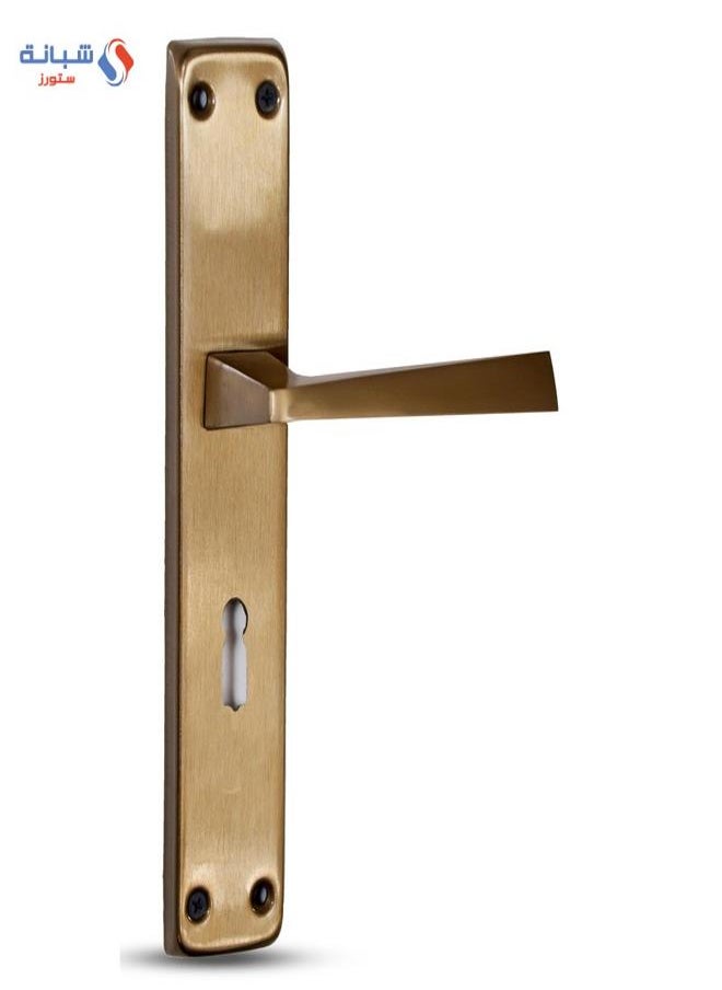 AHRAM Al-Ahram room handle Set - Matte Gold 