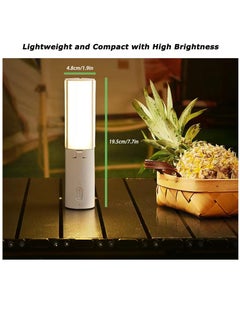 Excefore 4000mAh Rechargeable Camping Lights, Portable Camping Lanterns Battery Powered Electric Lantern for Power Emergency, Hanging Canopy Tent, Hurricane  - Image 5
